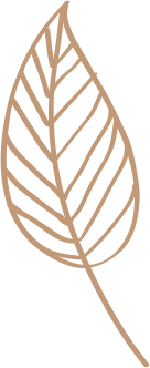 img-leaf.png
